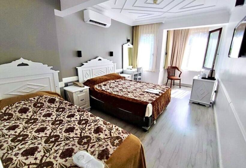 スタンダードルーム, Alp Guesthouse