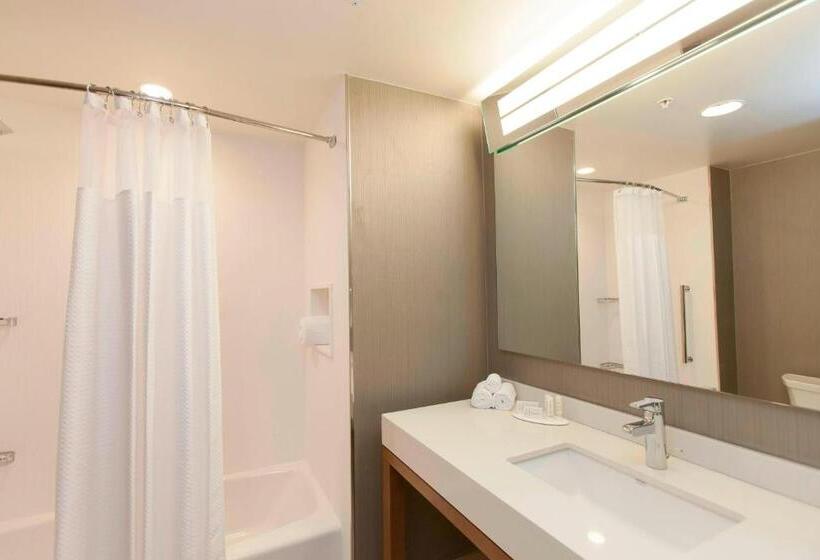 Номер Стандарт, Courtyard By Marriott Houston City Place