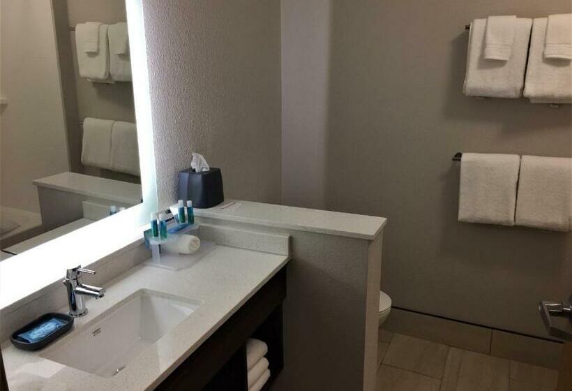 Номер Superior Кровать Кинг, Holiday Inn Express & Suites Danville, An Ihg