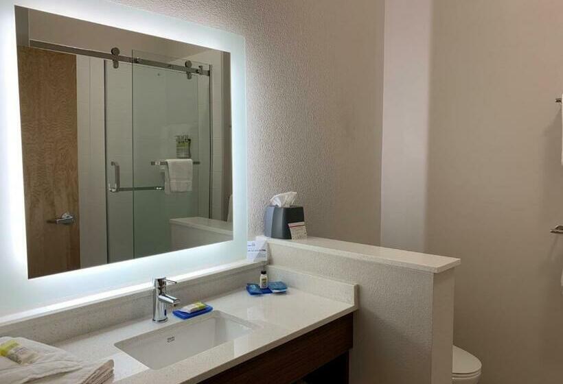 Номер Стандарт, Holiday Inn Express & Suites Danville, An Ihg