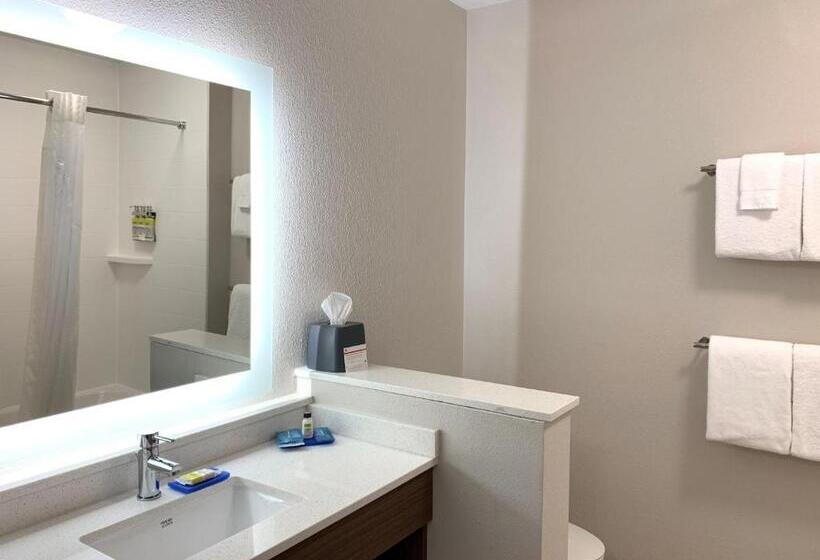 Quarto Estandar para Deficientes Físicos, Holiday Inn Express & Suites Danville, An Ihg