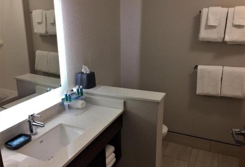 Люкс Адаптированный для Инвалидов, Holiday Inn Express & Suites Danville, An Ihg