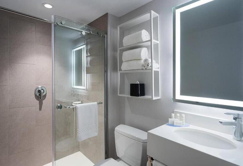 스탠다드 도시전망 룸, Fairfield Inn & Suites By Marriott New York Manhattan/central Park