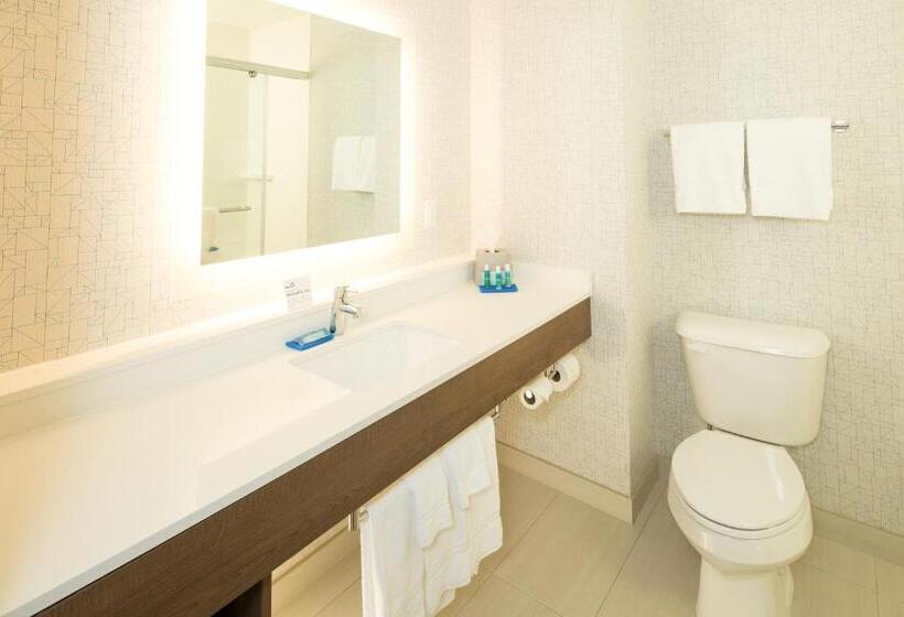身障者適用スイートルーム, Holiday Inn Express & Suites Alpena   Downtown, An Ihg