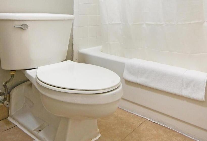 장애인을 위한 킹사이즈 침대 스탠다드 룸, Petersburg Va I 95 & E Washington St