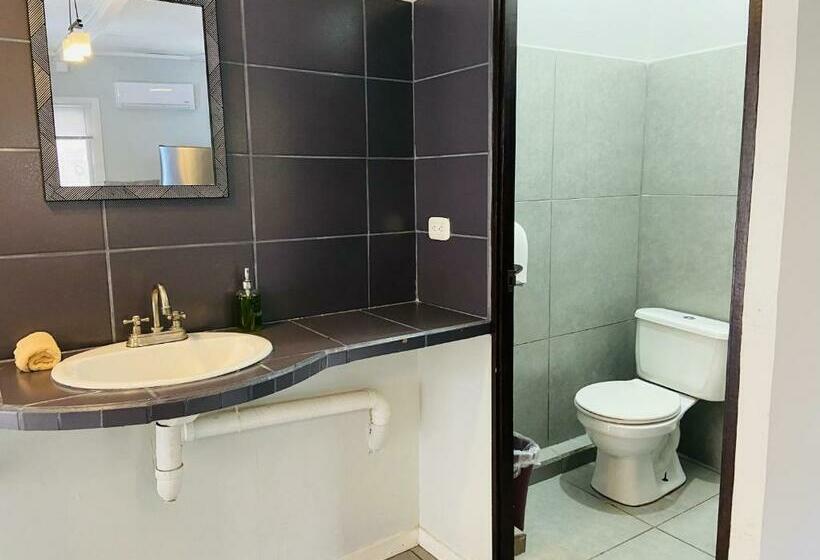 豪华套房, Lizard King Hotel & Suites