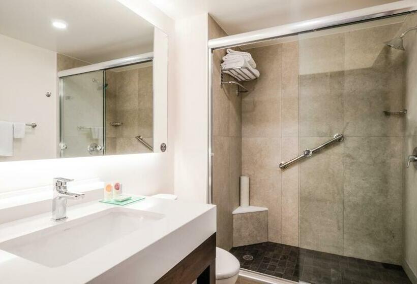 带2个双人床的标准工作室, Hyatt Place Celaya
