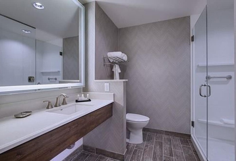 Люкс, Fairfield Inn & Suites By Marriott Cheyenne Southwest/downtown Area