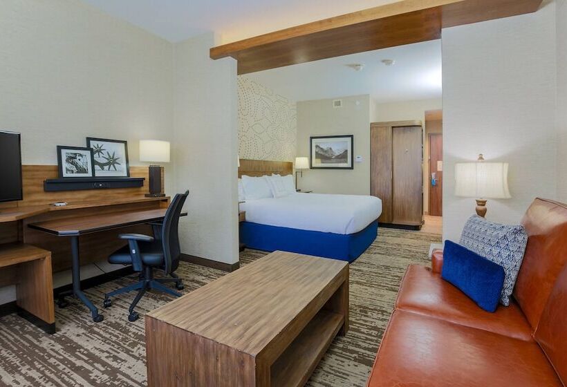 Люкс, Fairfield Inn & Suites By Marriott Cheyenne Southwest/downtown Area