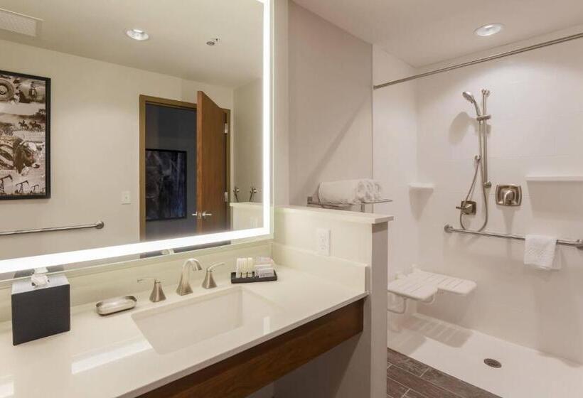 Стандартный Номер Кровать Кинг, Fairfield Inn & Suites By Marriott Cheyenne Southwest/downtown Area