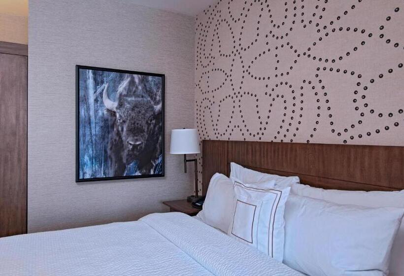 Номер Стандарт, Fairfield Inn & Suites By Marriott Cheyenne Southwest/downtown Area