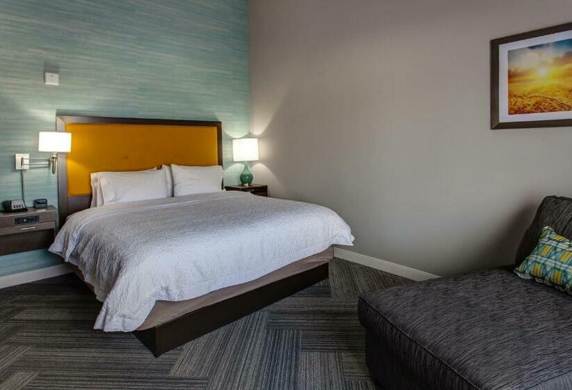 Номер Стандарт Кровать Кинг Адаптированный для Инвалидов, Hampton Inn & Suites Wichita/airport