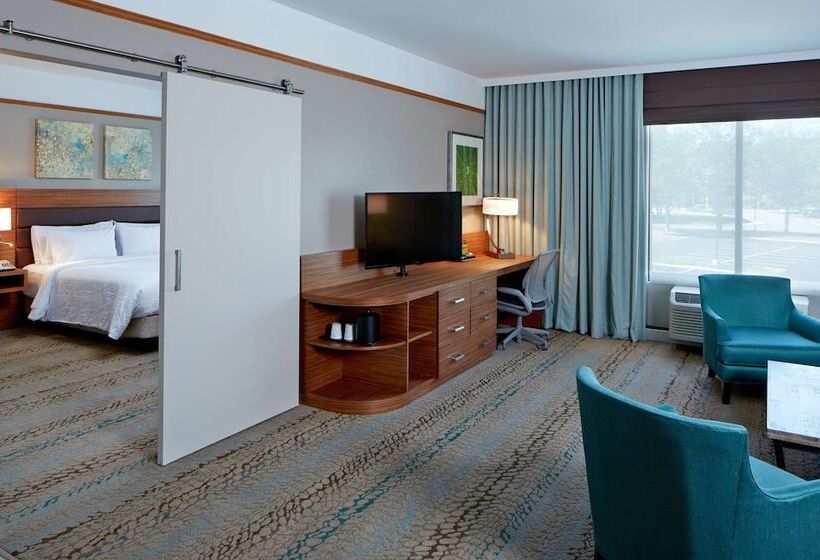 Номер Стандарт Адаптированный для Инвалидов, Hilton Garden Inn Boston/marlborough