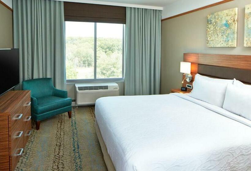 Полулюкс Кровать Кинг, Hilton Garden Inn Boston/marlborough