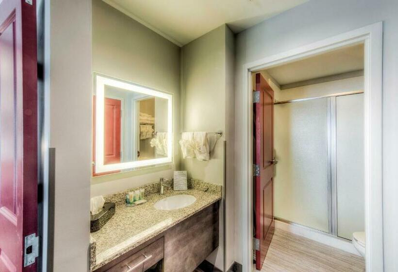 Номер Стандарт Кровать Кинг Адаптированный для Инвалидов, Staybridge Suites   University Area Osu, An Ihg