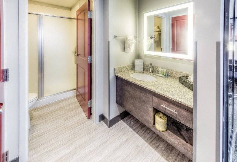 Студия Стандарт Двуспальная Кровать, Staybridge Suites   University Area Osu, An Ihg
