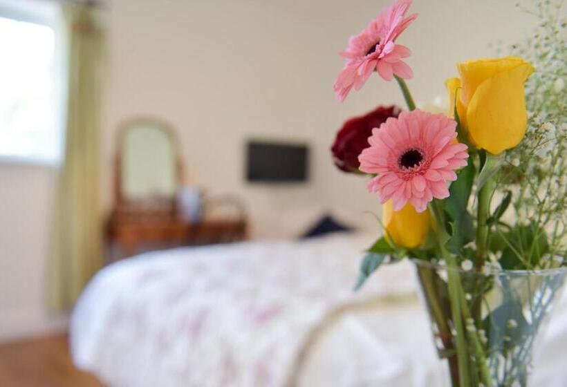 スタンダードルーム, Old Selden Farm B&b