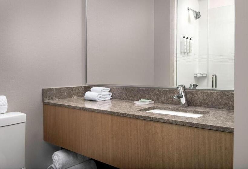 سوئیت با تخت بزرگ, Springhill Suites By Marriott New York Queens