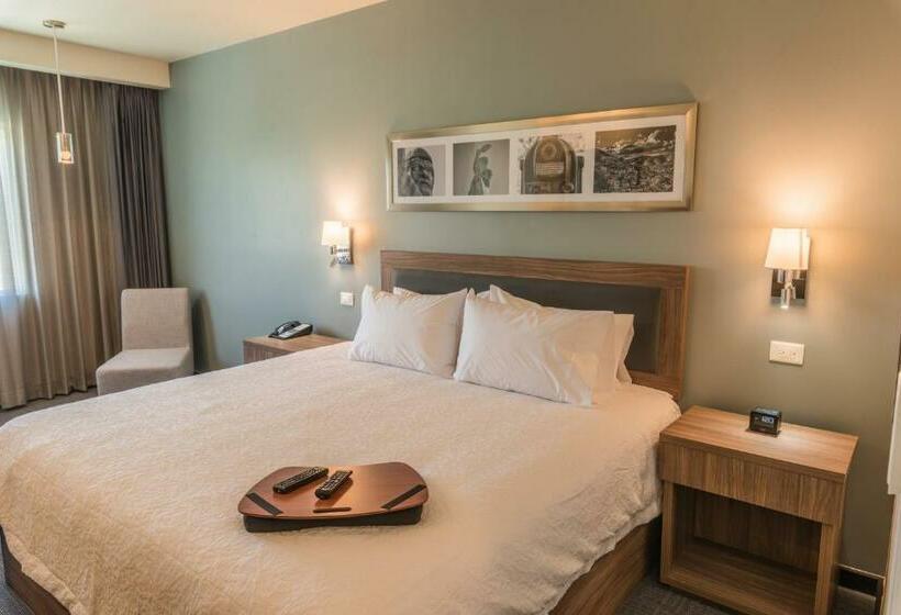 장애인을 위한 킹사이즈 침대 스탠다드 룸, Hampton Inn & Suites By Hilton Salamanca Bajio