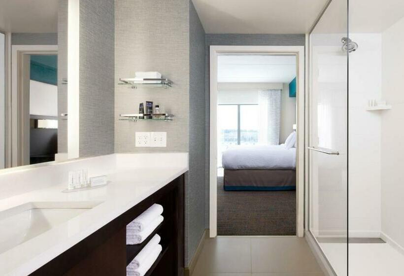 Студио Стандарт Кровать Кинг, Residence Inn By Marriott Oklahoma City Norman