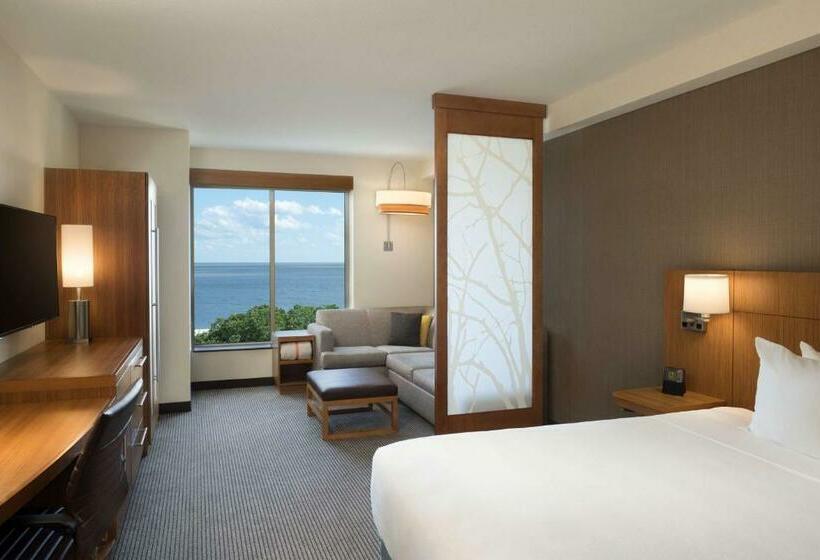 Стандартный Номер Кровать Кинг, Hyatt Place Biloxi
