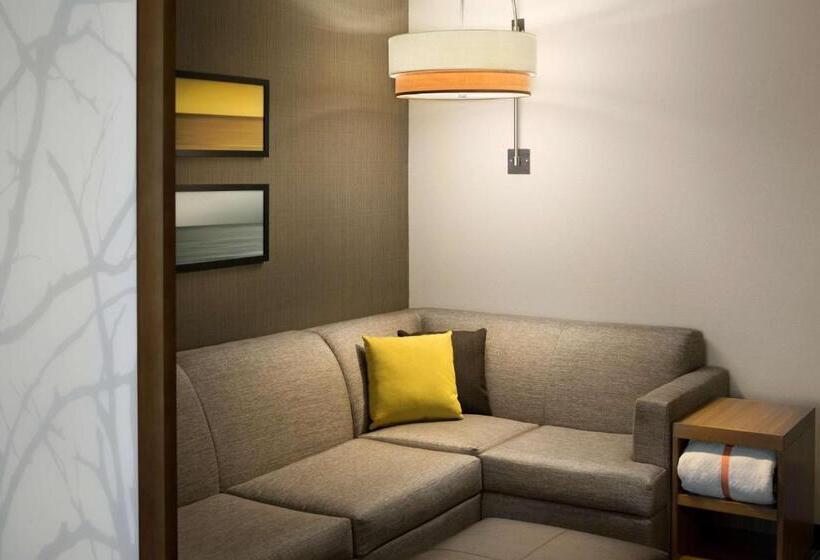 Номер Стандарт, Hyatt Place Biloxi