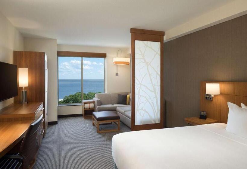 Номер Стандарт Кровать Кинг Адаптированный для Инвалидов, Hyatt Place Biloxi