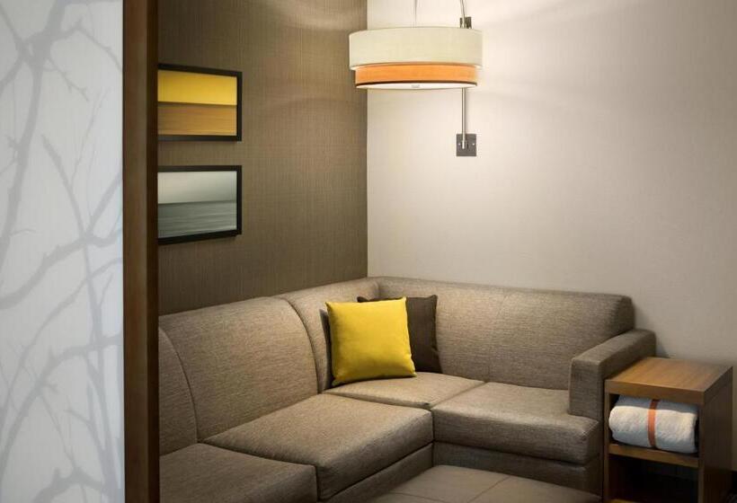Номер Стандартный с Видом, Hyatt Place Biloxi