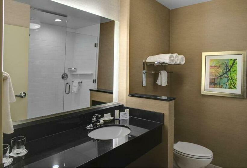 스탠다드 룸 킹사이즈 침대, Fairfield Inn & Suites By Marriott Douglas