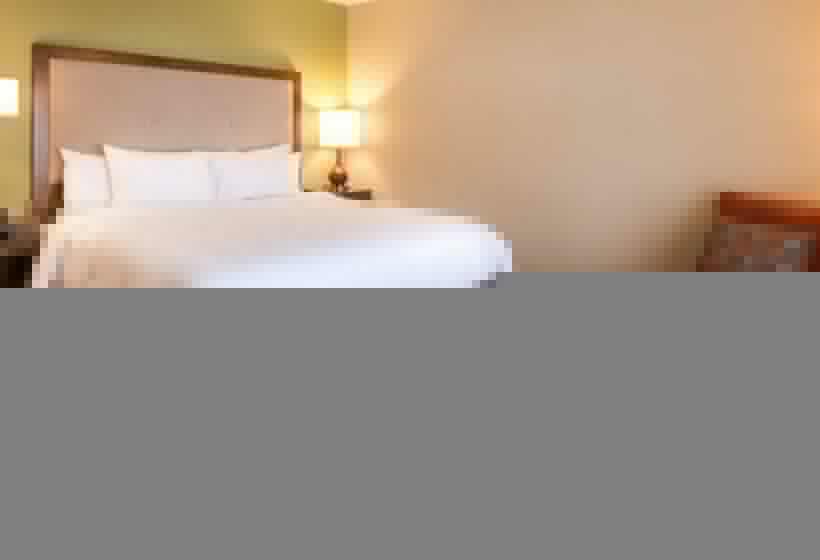اتاق استاندارد با تخت بزرگ, Hampton Inn & Suites Silverthorne