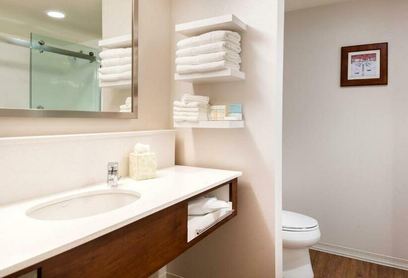 استودیو استاندارد با تخت کینگ, Hampton Inn & Suites Silverthorne