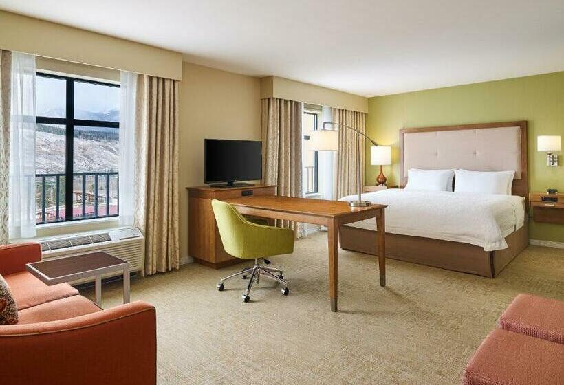 استودیو استاندارد با تخت کینگ, Hampton Inn & Suites Silverthorne