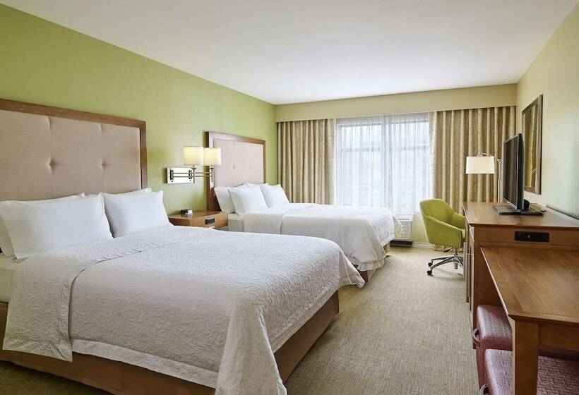 اتاق استاندارد با 2 تخت دوبل, Hampton Inn & Suites Silverthorne