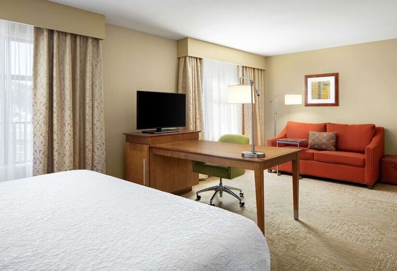 استودیوی استاندارد با تخت دوبل, Hampton Inn & Suites Silverthorne