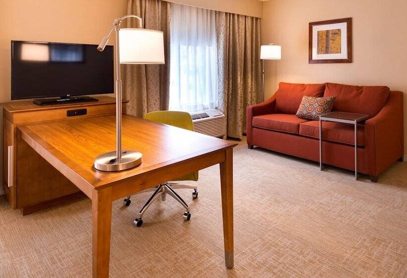 استودیوی استاندارد با تخت دوبل, Hampton Inn & Suites Silverthorne