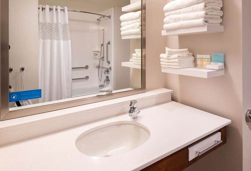 استودیوی استاندارد با تخت دوبل, Hampton Inn & Suites Silverthorne