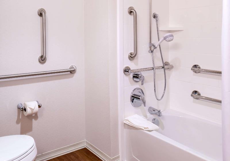 استودیو استاندارد با تخت کینگ, Hampton Inn & Suites Silverthorne