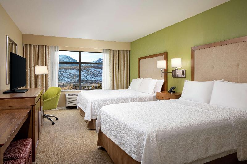 اتاق استاندارد با چشم‌انداز کوهستان, Hampton Inn & Suites Silverthorne