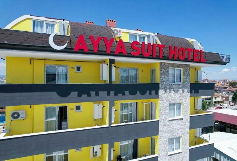 Апартаменты 1 Спальня, Ayya Sui̇t