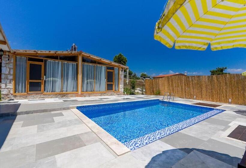 Студия Стандарт, Casa De Sherys