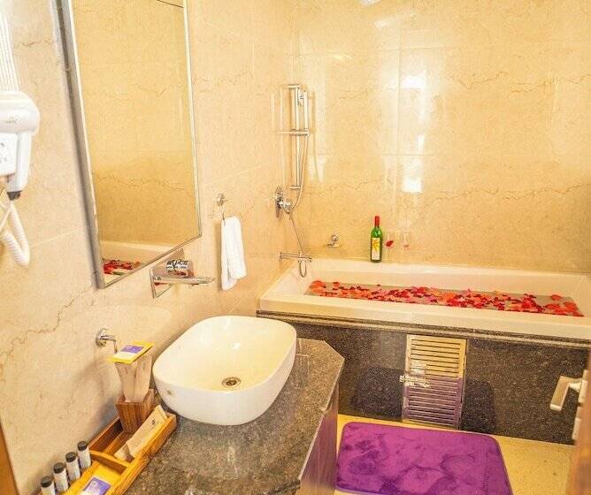 Президентский Люкс, Dhauladhar Heights Resort