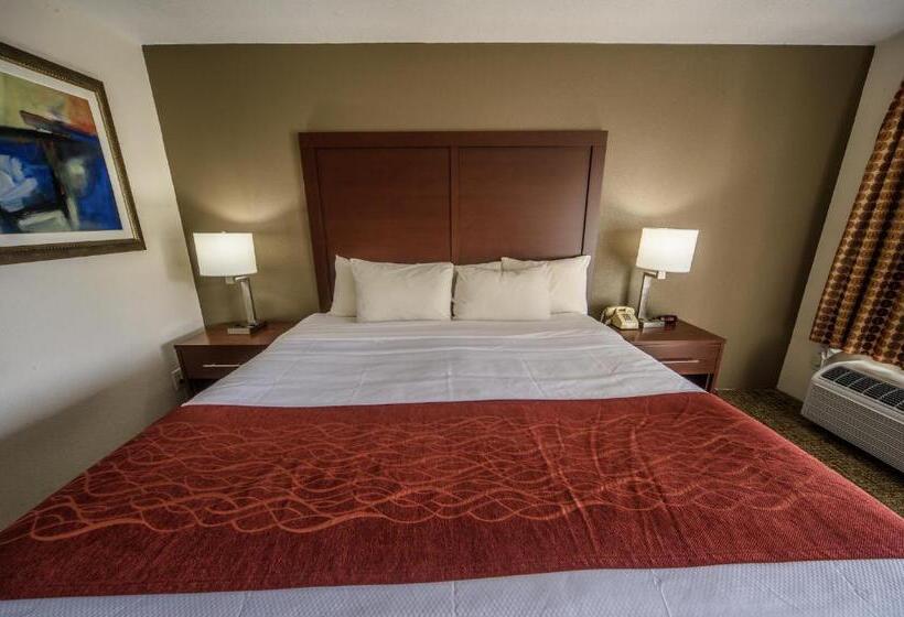带大床的标准间, Richland Inn