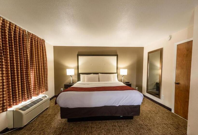 适合残疾人士使用的带超级大床的标准间, Richland Inn