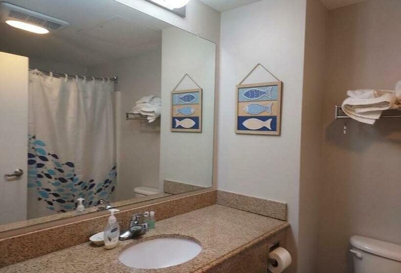 Студия Стандарт, Oc North Beach Ocean Front Condo With Spectacular Views