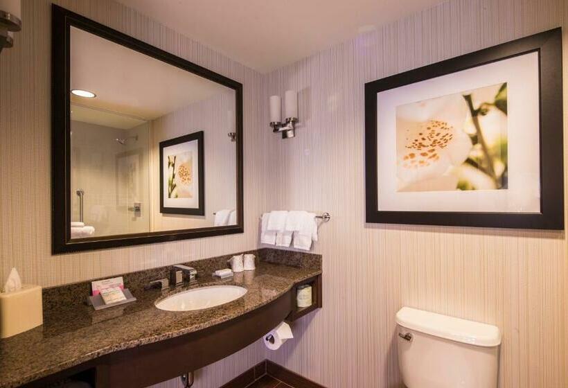 带大床的复式套间, Hilton Garden Inn Uniontown