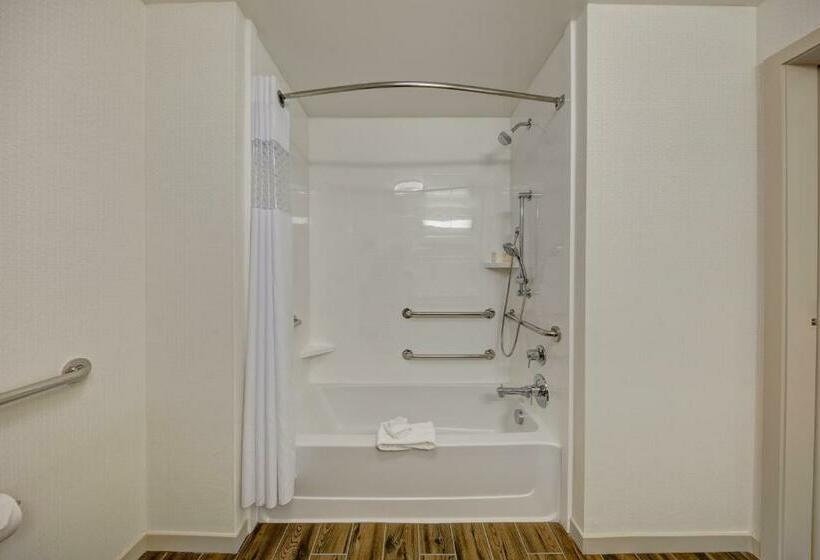장애인을 위한 킹사이즈 침대 스탠다드 룸, Hampton Inn & Suites Nashville Hendersonville