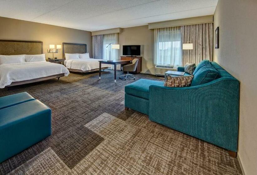 디럭스 스튜디오, Hampton Inn & Suites Nashville Hendersonville