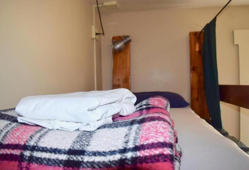 标准间带双层床, Green Tortoise Hostel Seattle