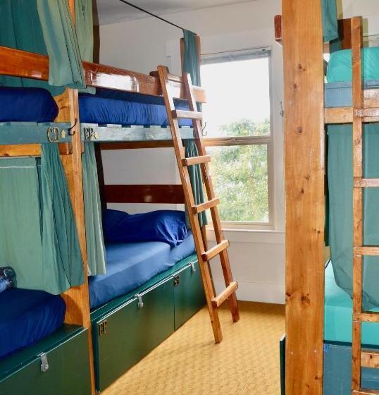 共用房间的床, Green Tortoise Hostel Seattle