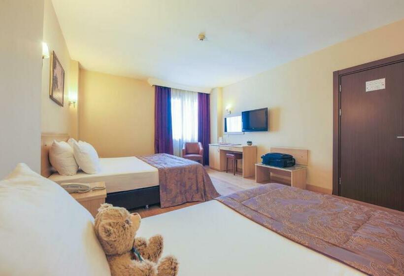 اتاق استاندارد سه نفره, Hostapark